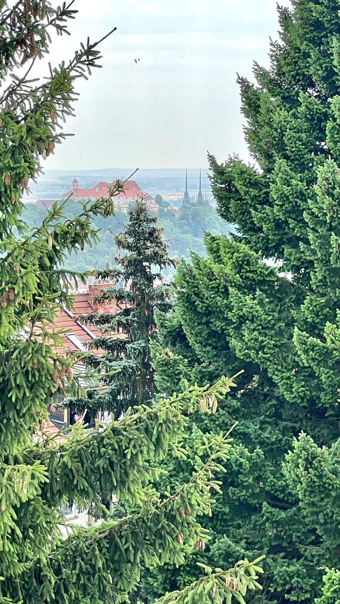 Apartman Se Saunou A Terasou S Vyhledem Na Brno Exterior foto